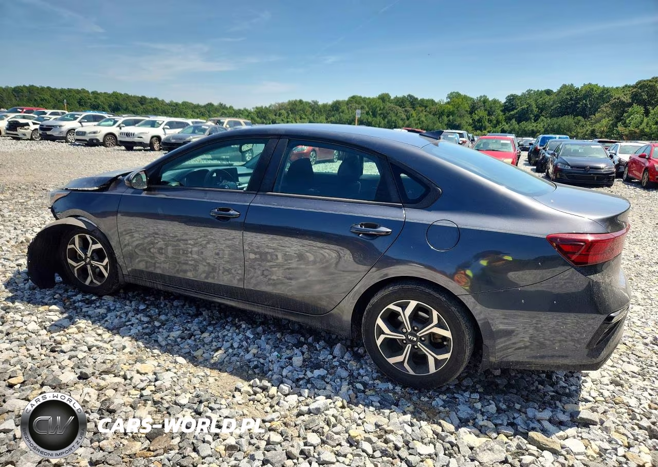 2019 Kia Forte Lxs VIN:3KPF24ADXKE061380 - 2