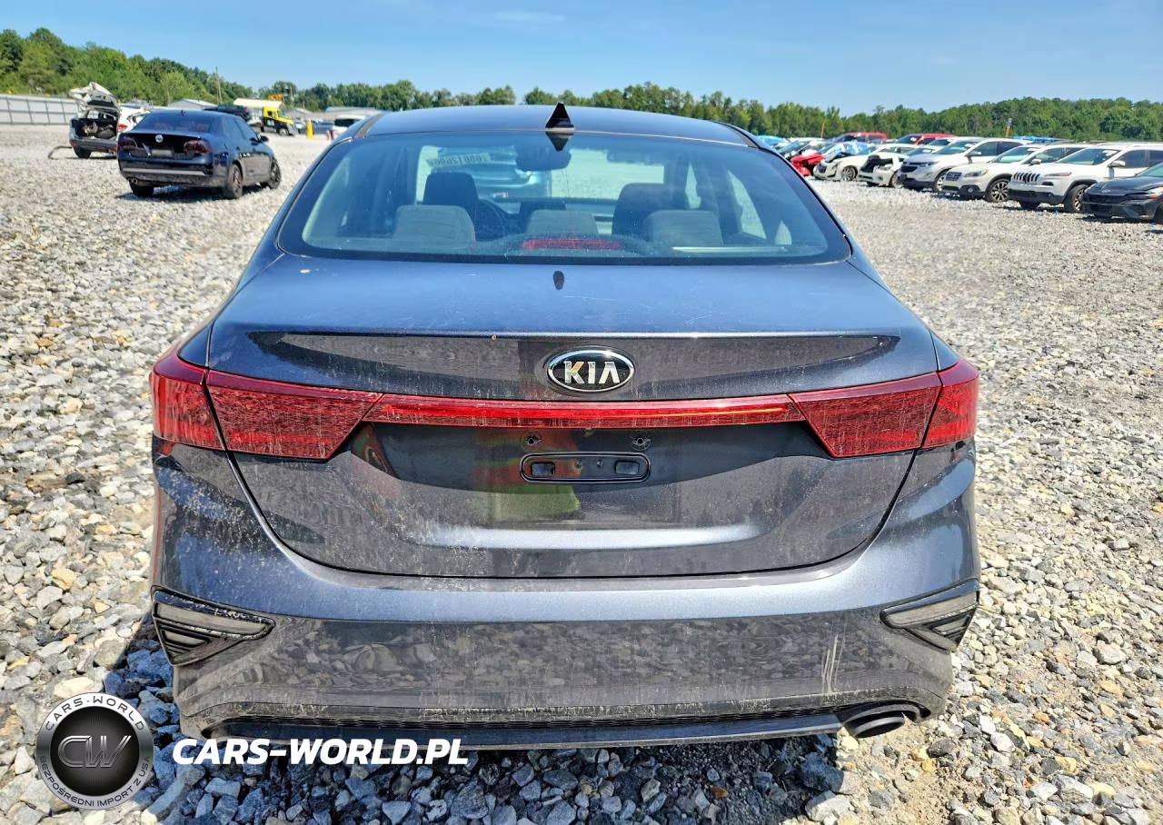 2019 Kia Forte Lxs VIN:3KPF24ADXKE061380 - 6
