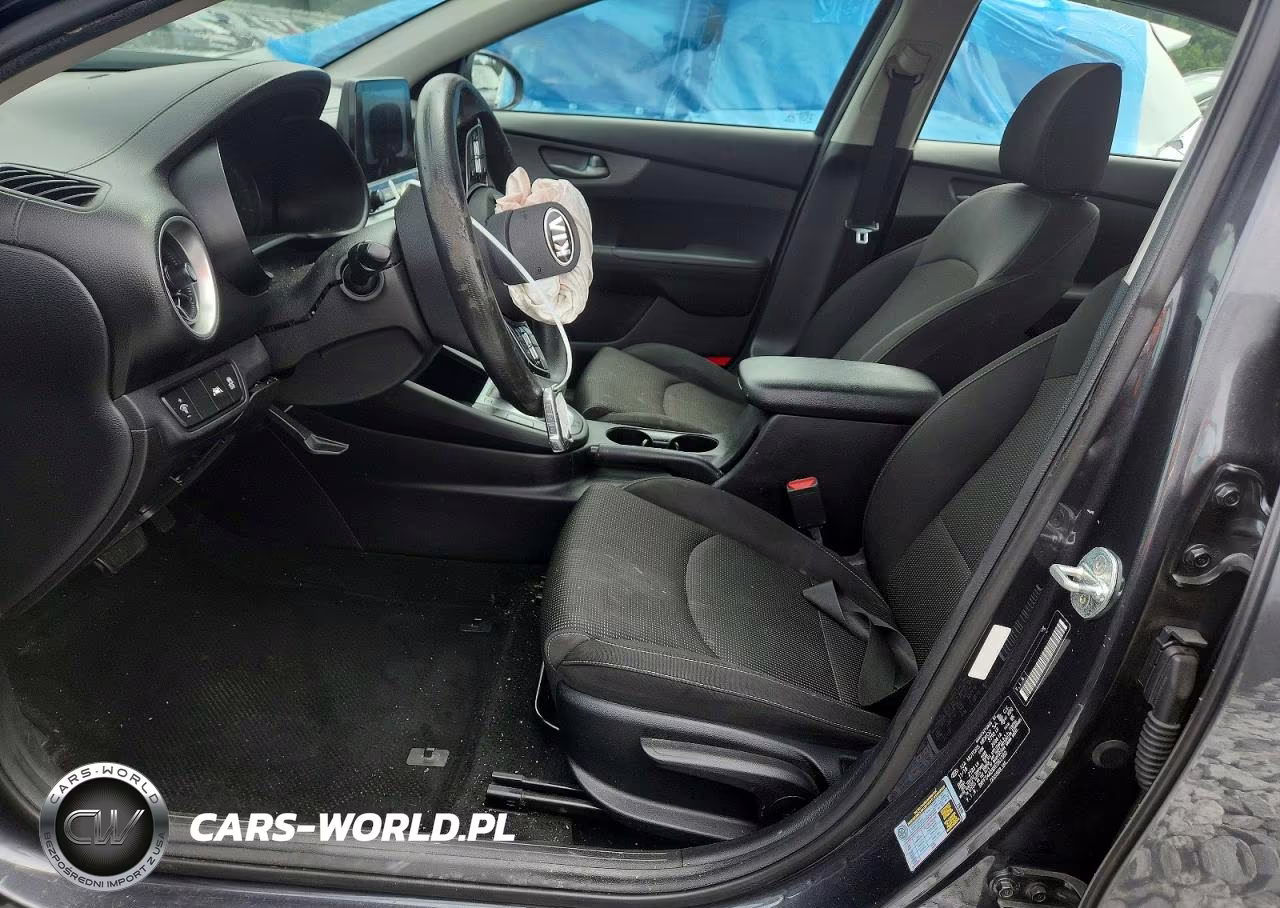 2019 Kia Forte Lxs VIN:3KPF24ADXKE061380 - 7