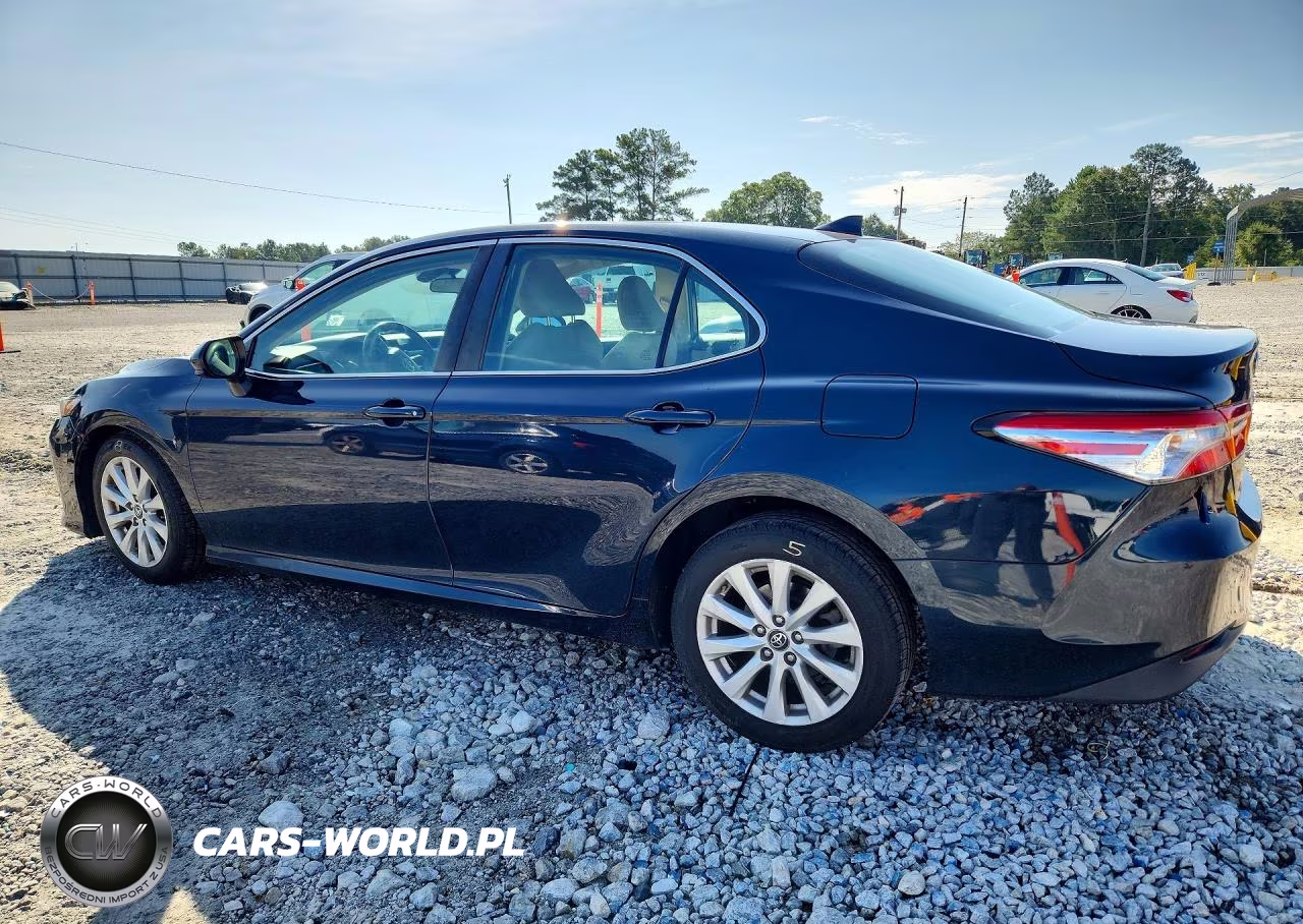 2019 Toyota Camry Le VIN:4T1B11HK0KU737028 - 2