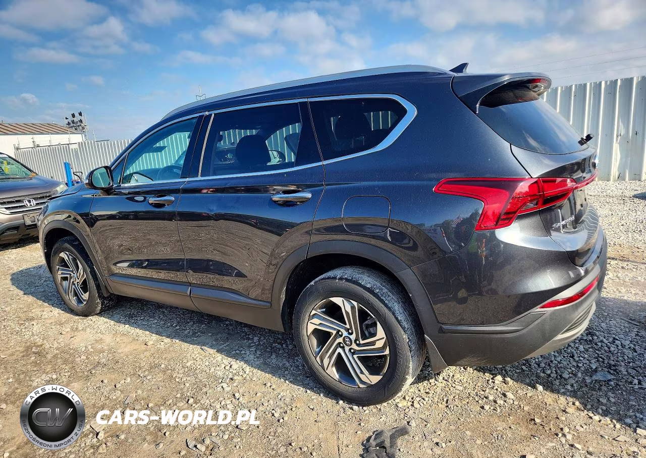 2023 Hyundai Santa Fe Sel VIN:5NMS2DAJ0PH502308 - 2