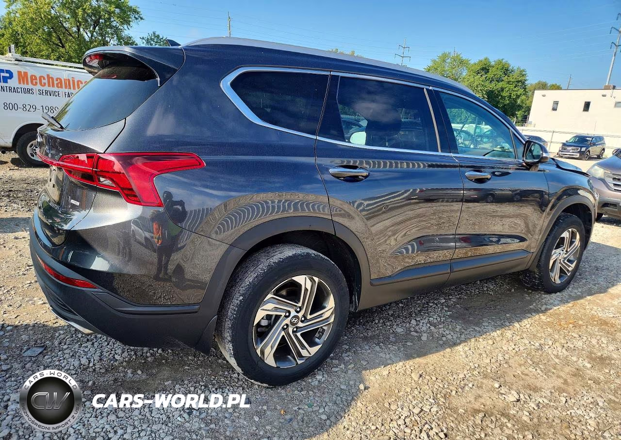 2023 Hyundai Santa Fe Sel VIN:5NMS2DAJ0PH502308 - 3