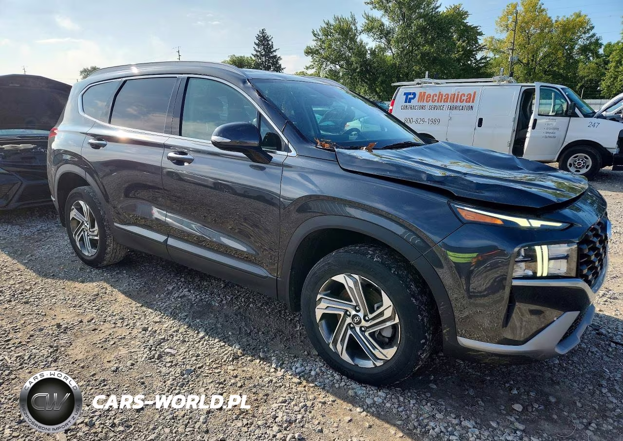 2023 Hyundai Santa Fe Sel VIN:5NMS2DAJ0PH502308 - 4