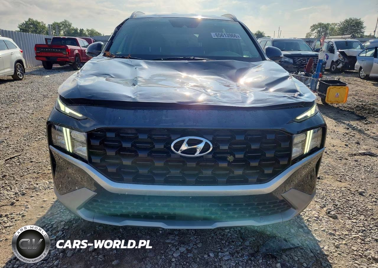 2023 Hyundai Santa Fe Sel VIN:5NMS2DAJ0PH502308 - 5
