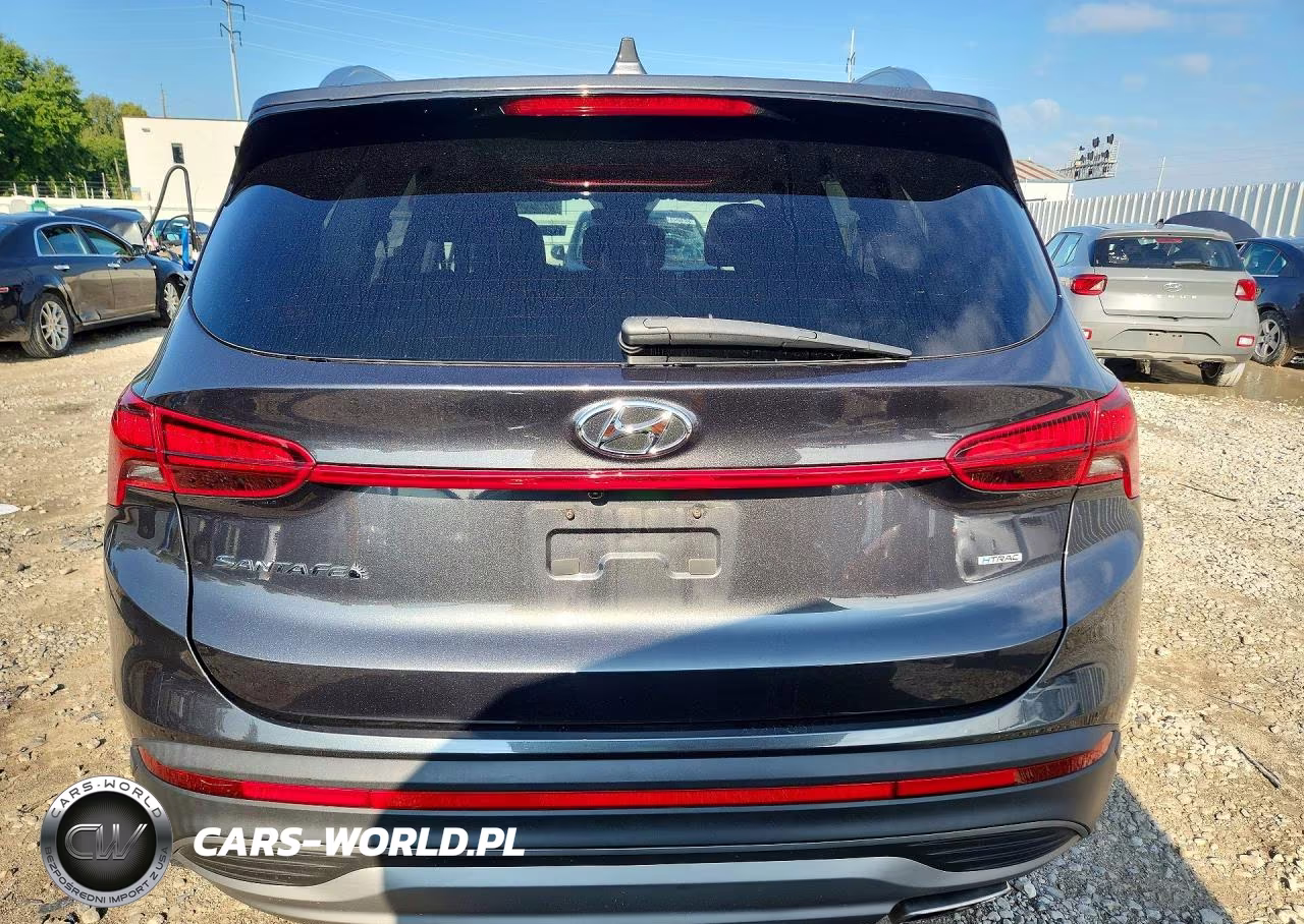 2023 Hyundai Santa Fe Sel VIN:5NMS2DAJ0PH502308 - 6