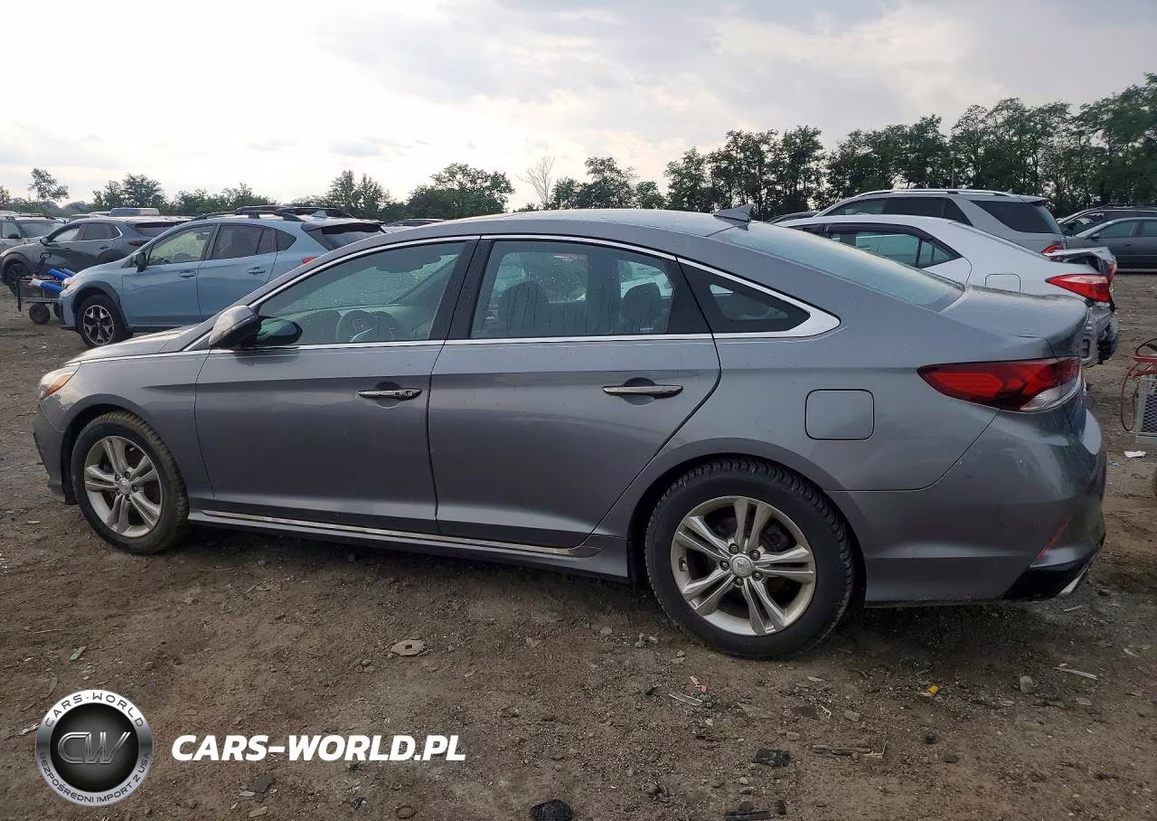 2019 Hyundai Sonata Sport VIN:5NPE34AF4KH739983 - 2