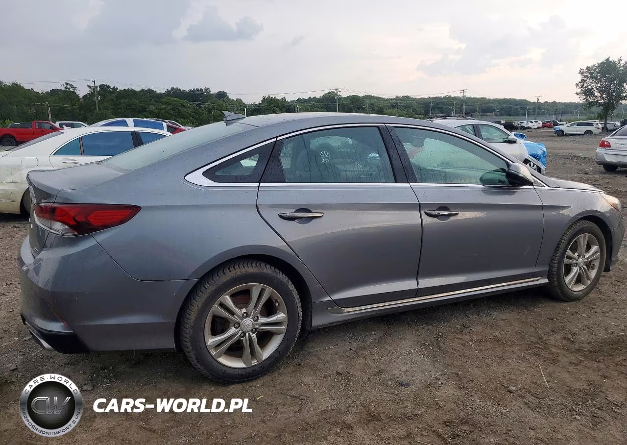 2019 Hyundai Sonata Sport VIN:5NPE34AF4KH739983 - 3