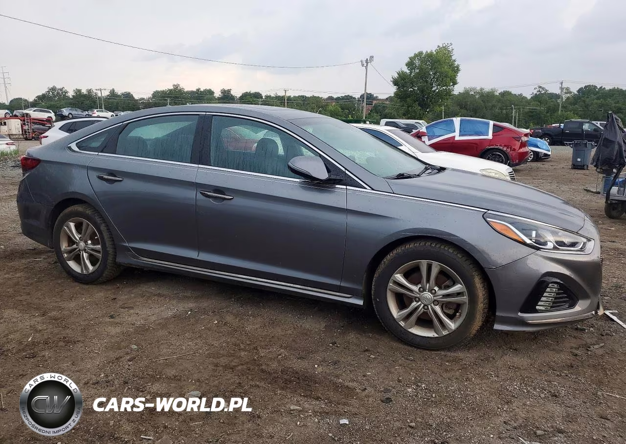 2019 Hyundai Sonata Sport VIN:5NPE34AF4KH739983 - 4