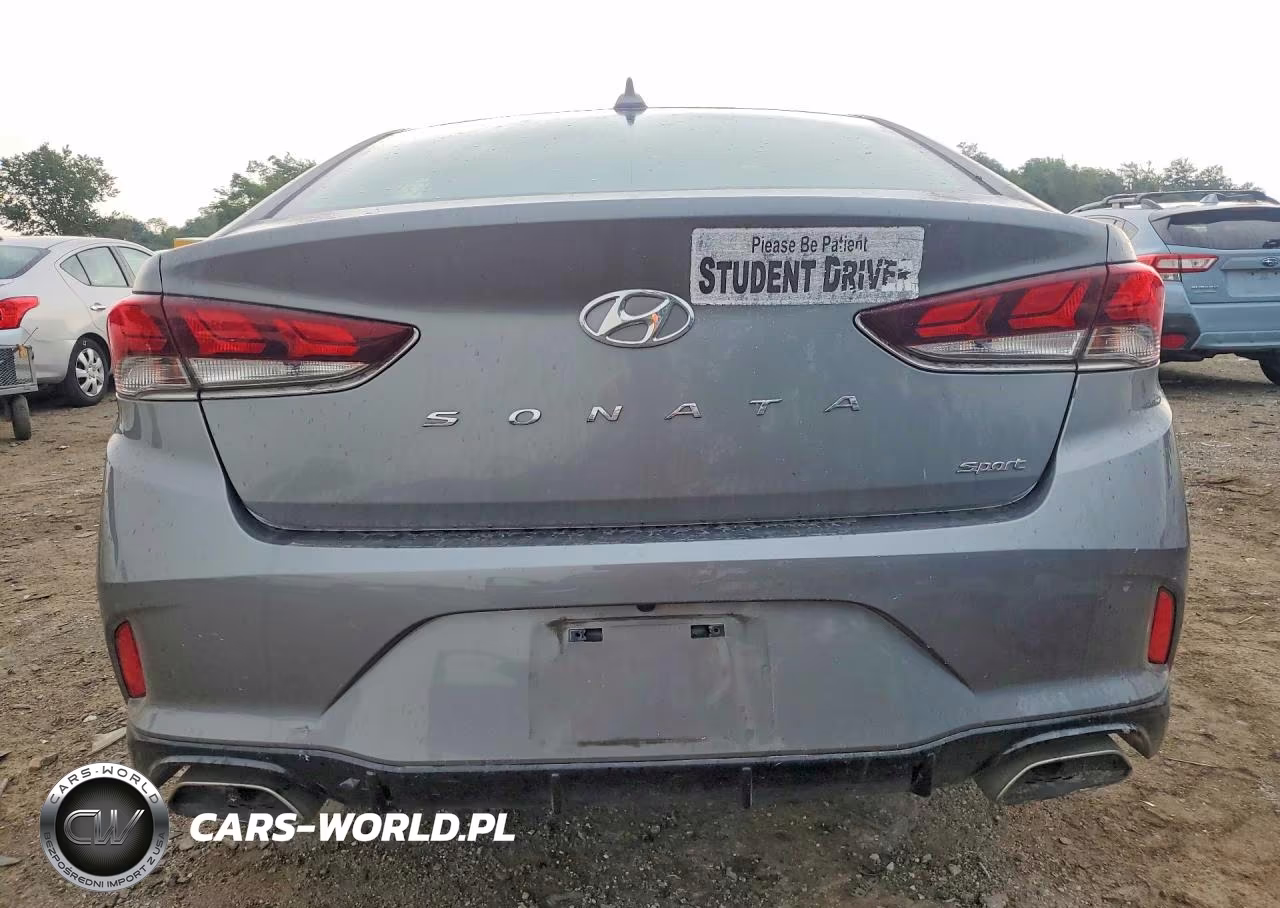 2019 Hyundai Sonata Sport VIN:5NPE34AF4KH739983 - 6