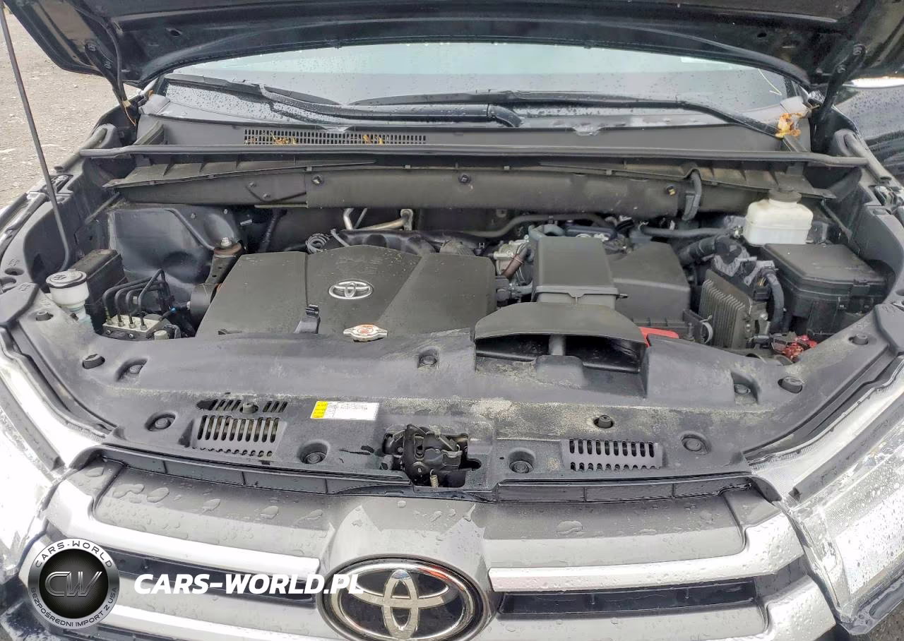 2019 Toyota Highlander Xle VIN:5TDJZRFH2KS612373 - 12
