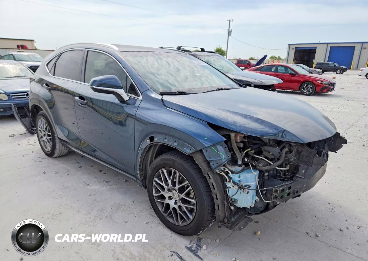 2015 Lexus Nx 200T VIN:JTJYARBZ0F2018542 - 4
