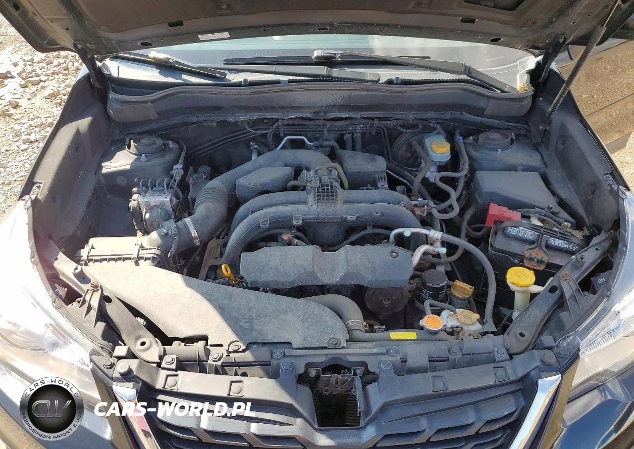 2017 Subaru Forester 2.5I Premium VIN:JF2SJAEC6HH479568 - 11