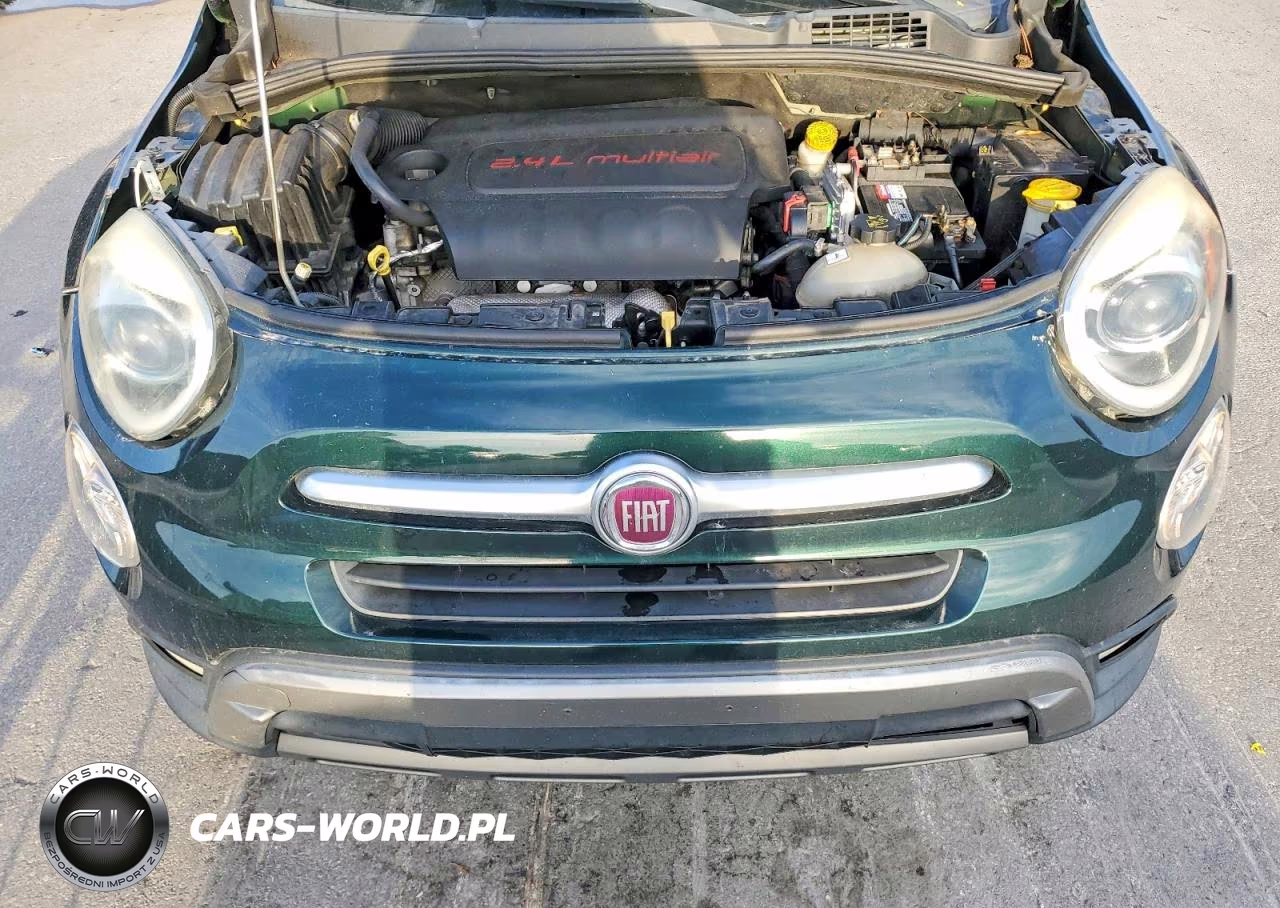 2016 Fiat 500X Trekking VIN:ZFBCFXCT0GP332836 - 12