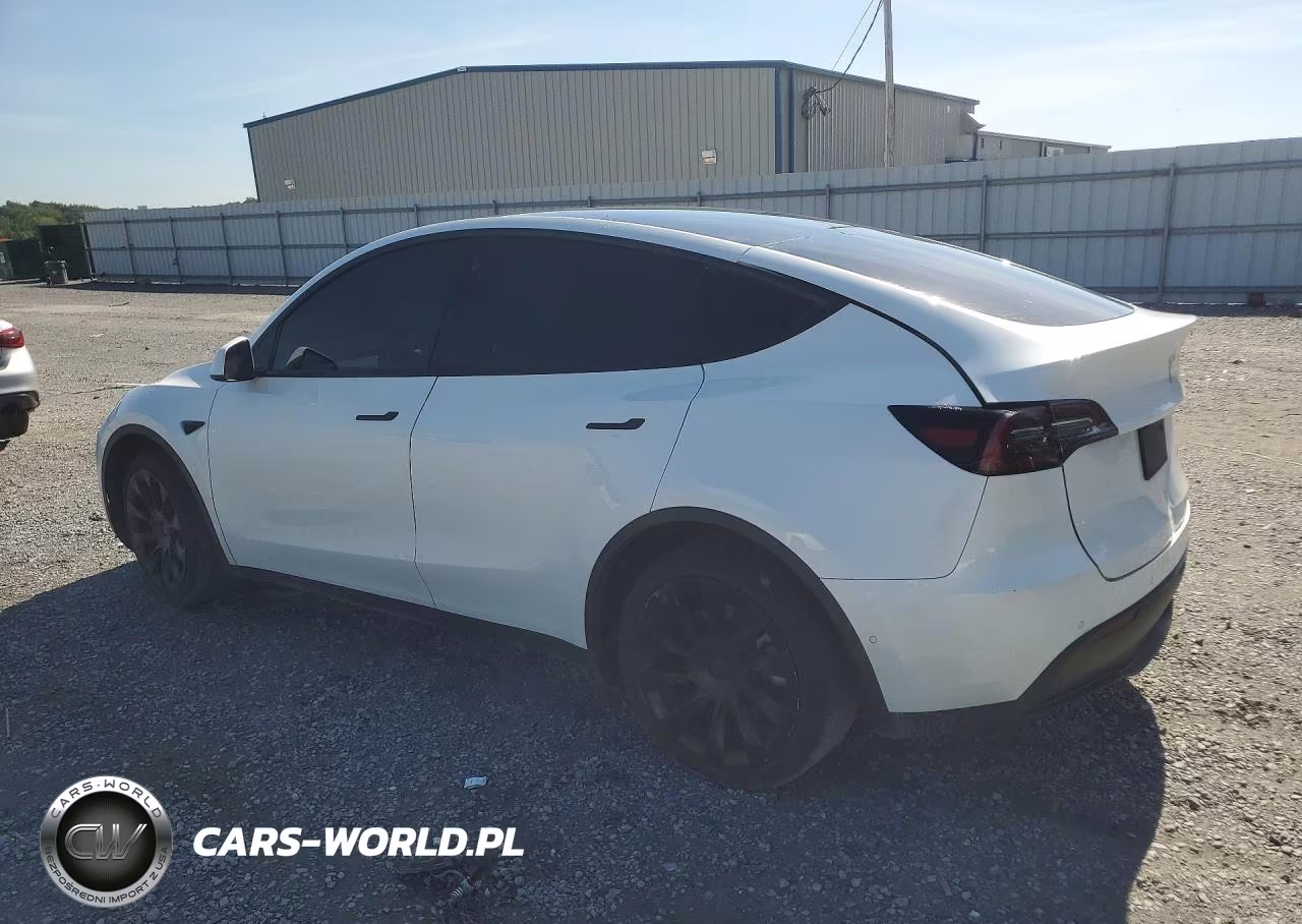 2021 Tesla Model Y VIN:5YJYGDEE0MF244247 - 2