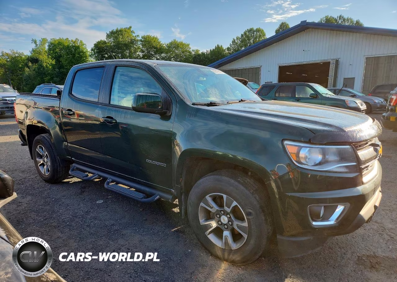 2016 Chevrolet Colorado Z71 VIN:1GCGTDE38G1196452 - 4