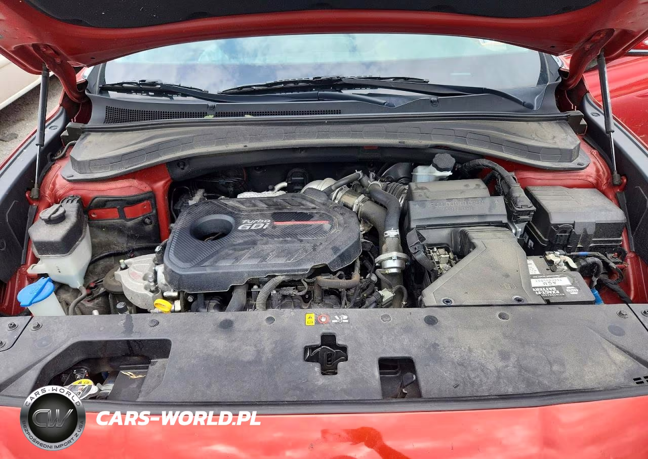2019 Hyundai Santa Fe Limited 2.0T VIN:5NMS5CAA4KH123760 - 12