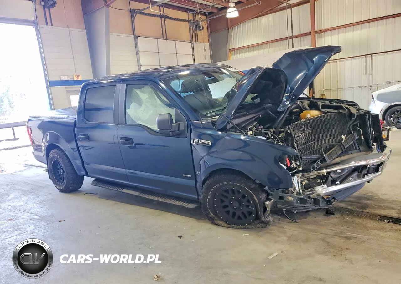 2016 Ford F150 Supercrew VIN:1FTEW1EP4GFB22609 - 4