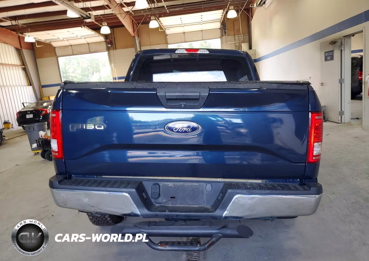 2016 Ford F150 Supercrew VIN:1FTEW1EP4GFB22609 - 6