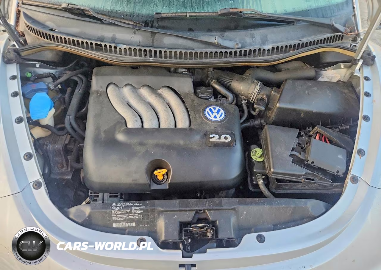 2002 Volkswagen New Beetle Gls VIN:3VWCB21C42M451537 - 11