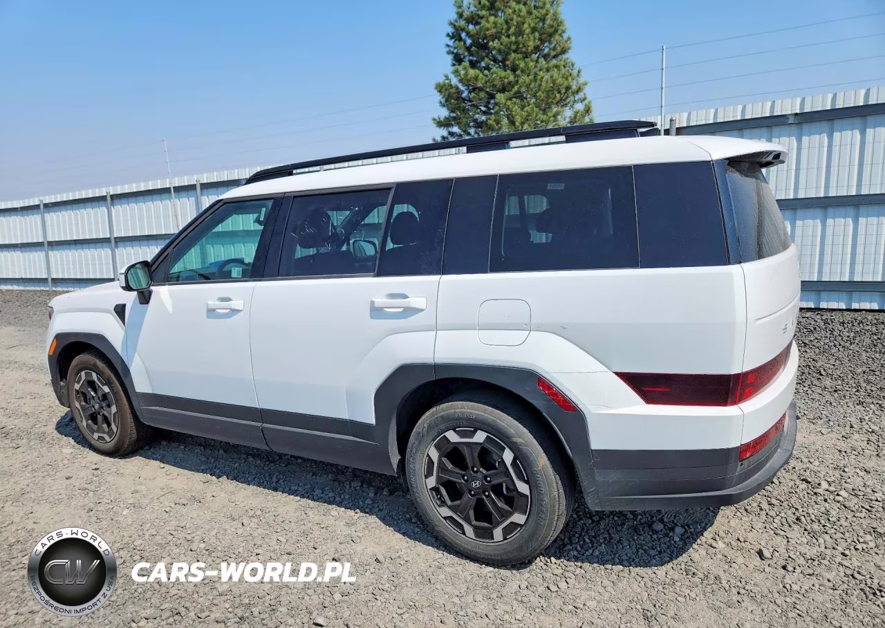 2025 Hyundai Santa Fe Sel VIN:5NMP2DGL5SH138149 - 2