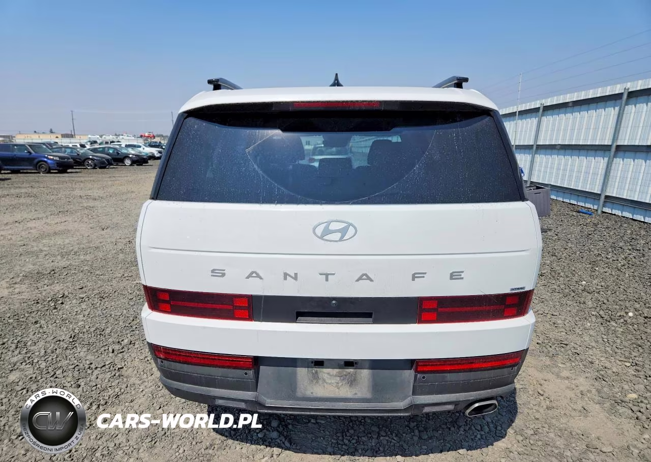 2025 Hyundai Santa Fe Sel VIN:5NMP2DGL5SH138149 - 6