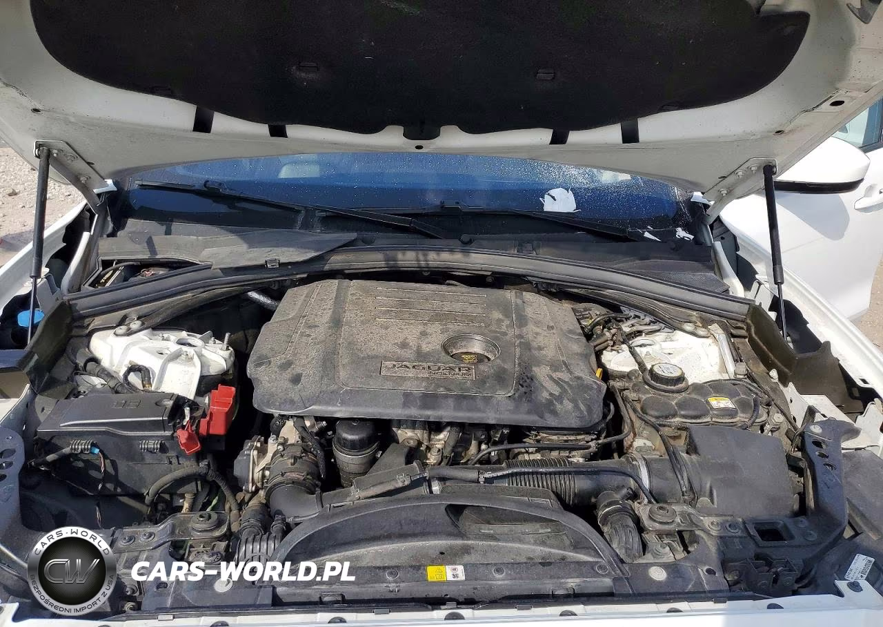 2019 Jaguar F-Pace Prestige VIN:SADCK2FN1KA390047 - 11