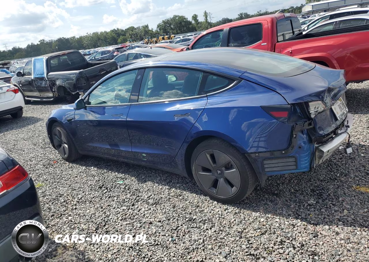 2021 Tesla Model 3 VIN:5YJ3E1EB5MF026387 - 2