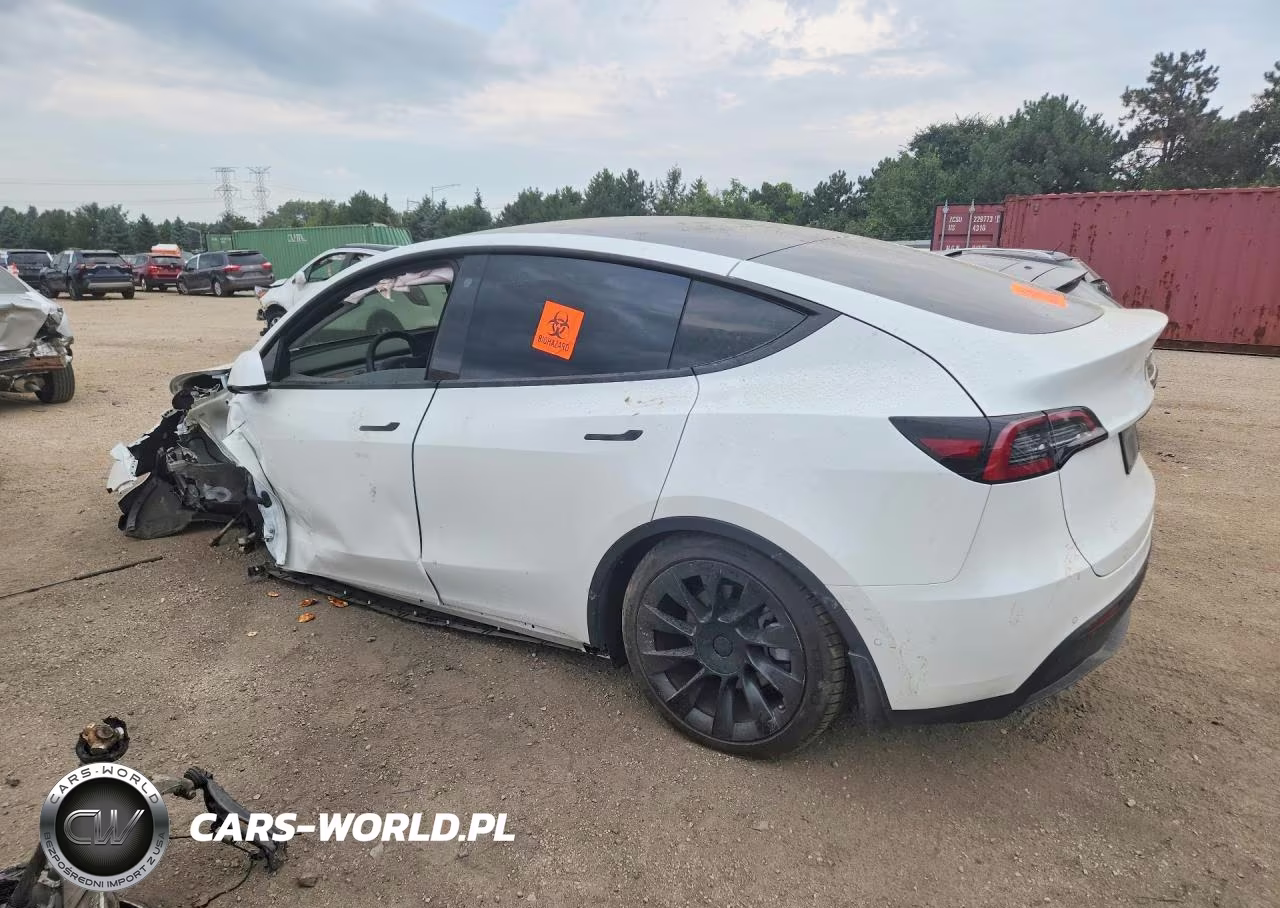 2021 Tesla Model Y VIN:5YJYGDEEXMF299949 - 2