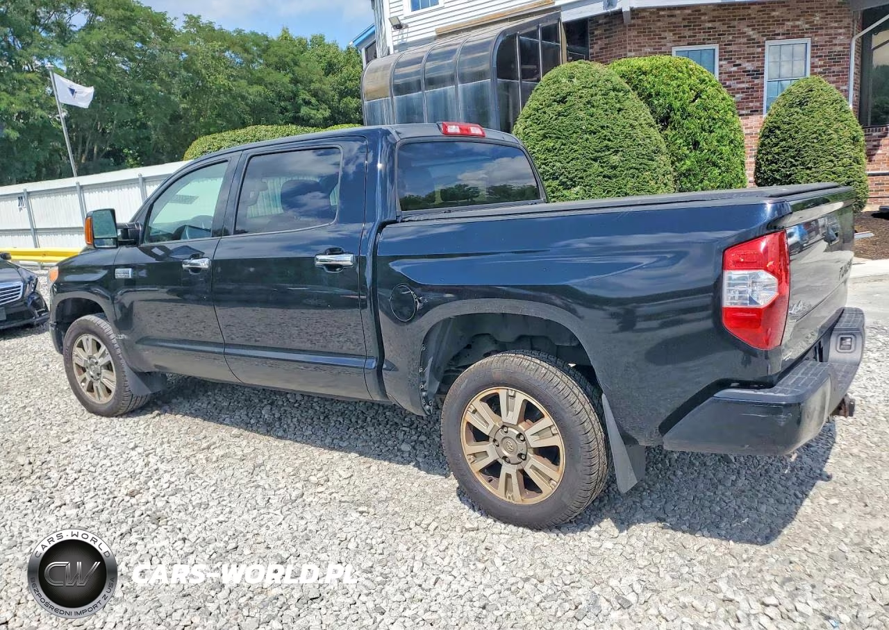 2015 Toyota Tundra Platinum VIN:5TFAY5F12FX441252 - 2