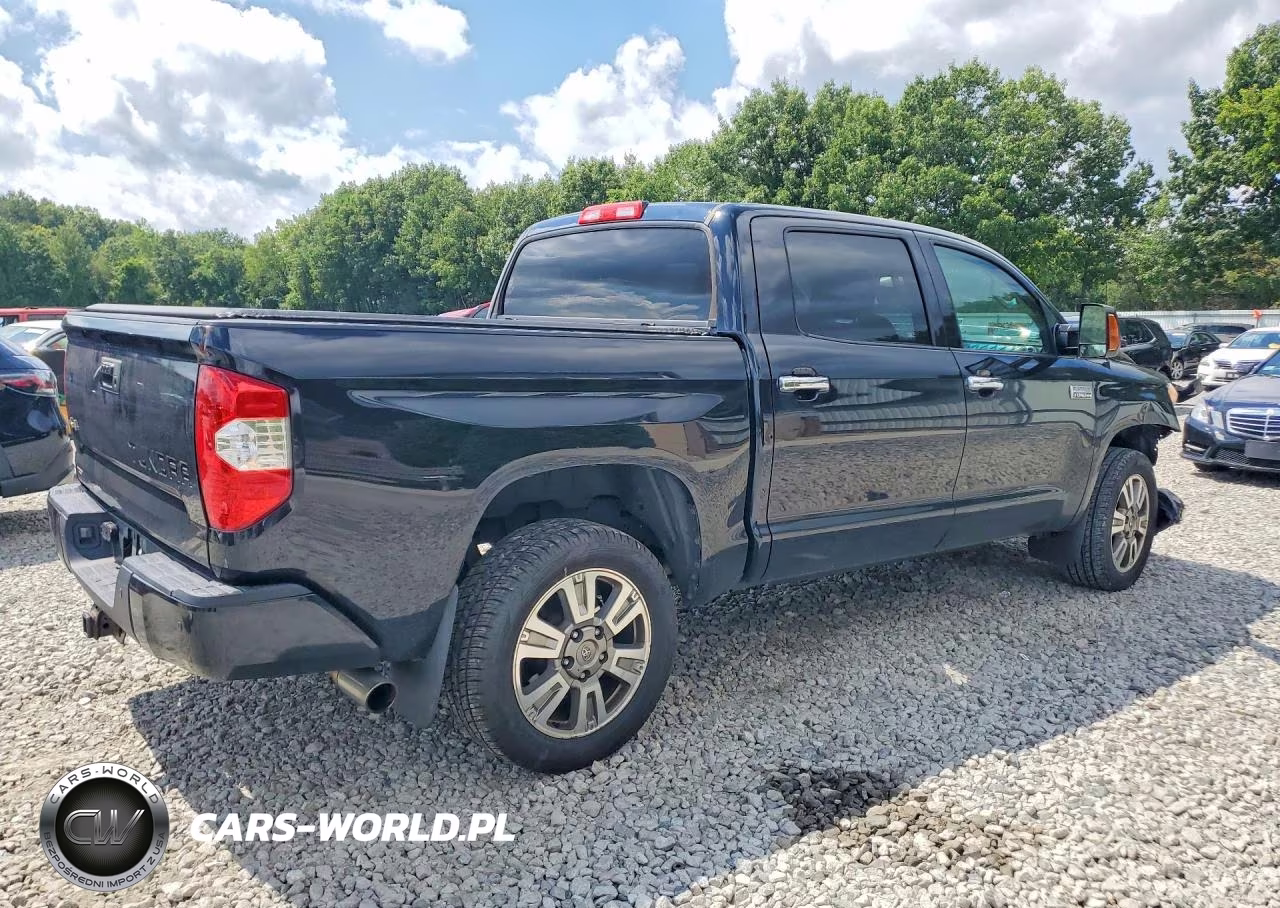 2015 Toyota Tundra Platinum VIN:5TFAY5F12FX441252 - 3