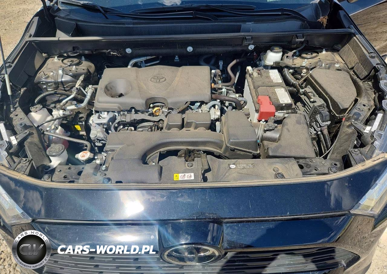 2025 Toyota Rav4 Xle VIN:2T3W1RFV1SC323617 - 11