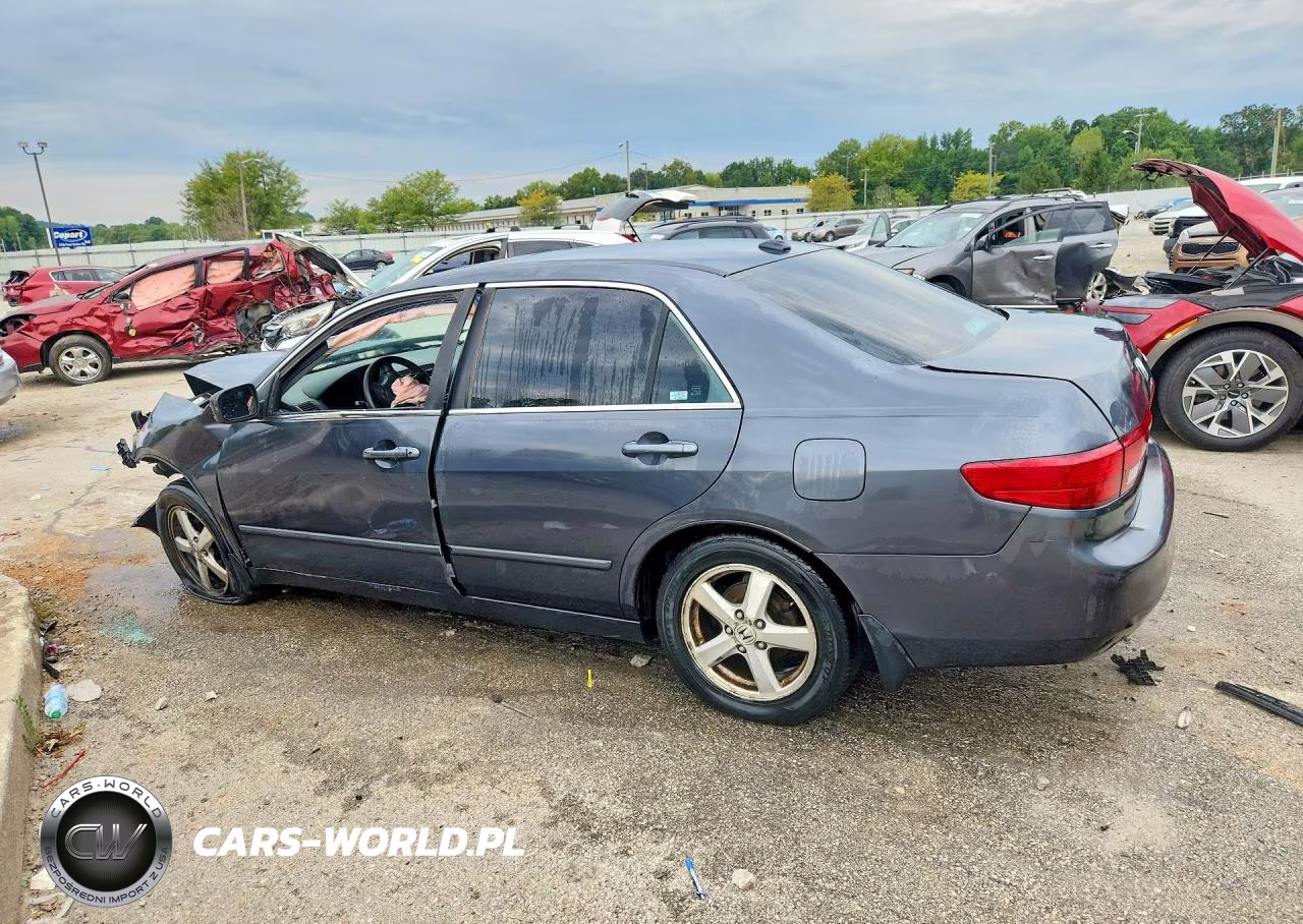 2005 Honda Accord Ex VIN:1HGCM56855A146800 - 2