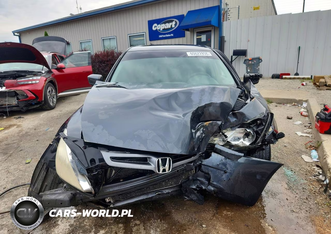 2005 Honda Accord Ex VIN:1HGCM56855A146800 - 5