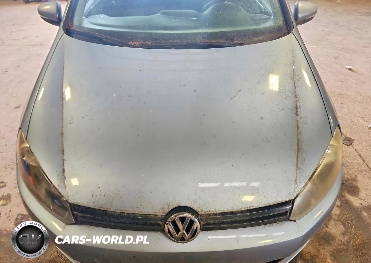 2010 Volkswagen Golf VIN:WVWDB7AJ2AW307700 - 11