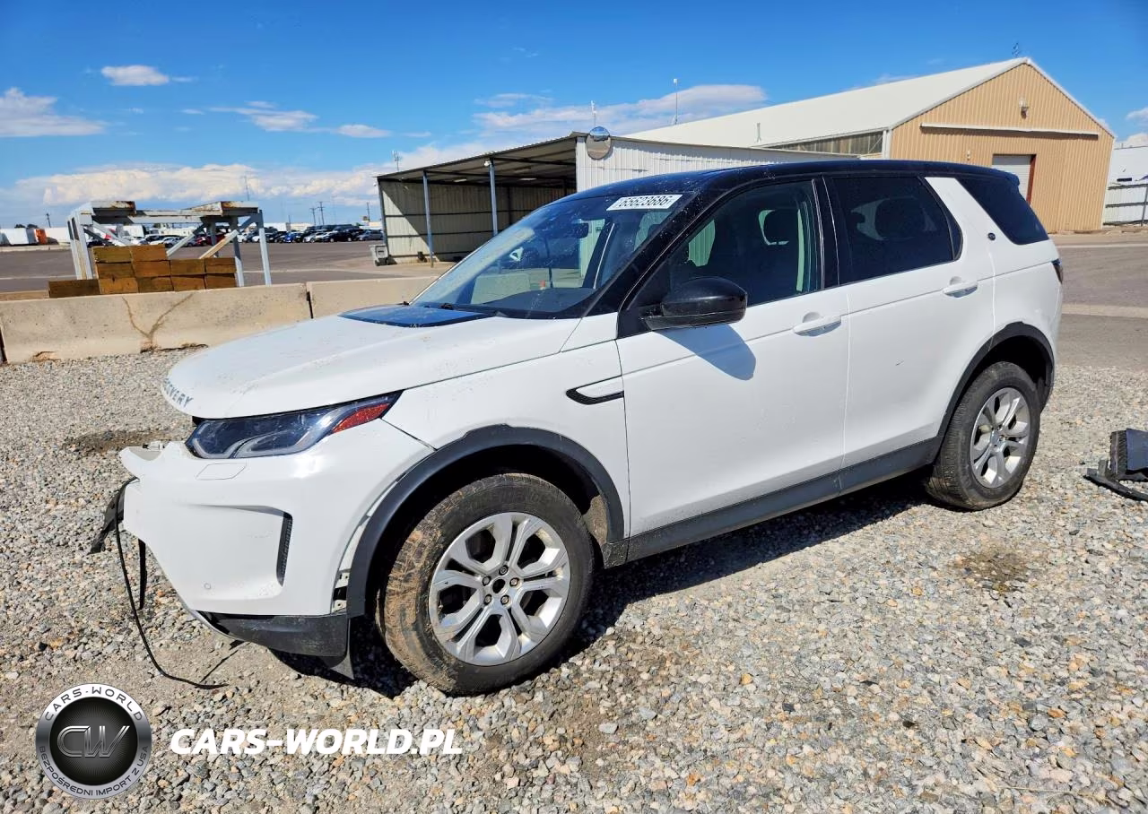 2020 Land Rover Discovery Sport S VIN:SALCJ2FX8LH847261 - 1