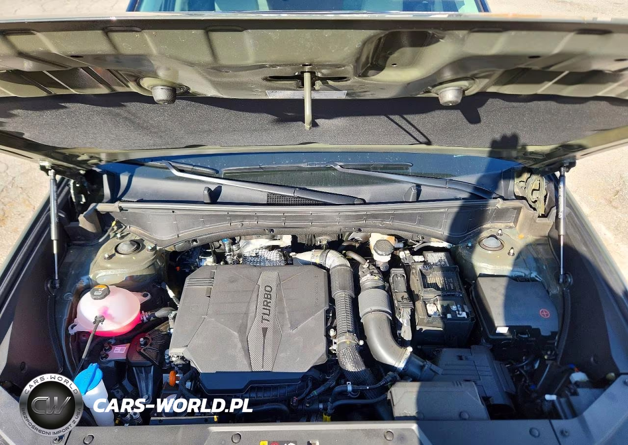 2026 Hyundai Santa Fe Calligraphy VIN:5NMP5DGL2TH164832 - 12