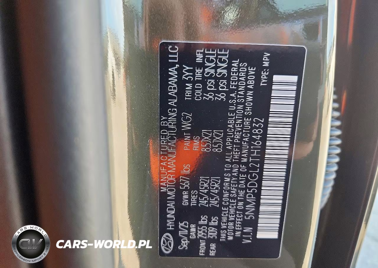 2026 Hyundai Santa Fe Calligraphy VIN:5NMP5DGL2TH164832 - 13