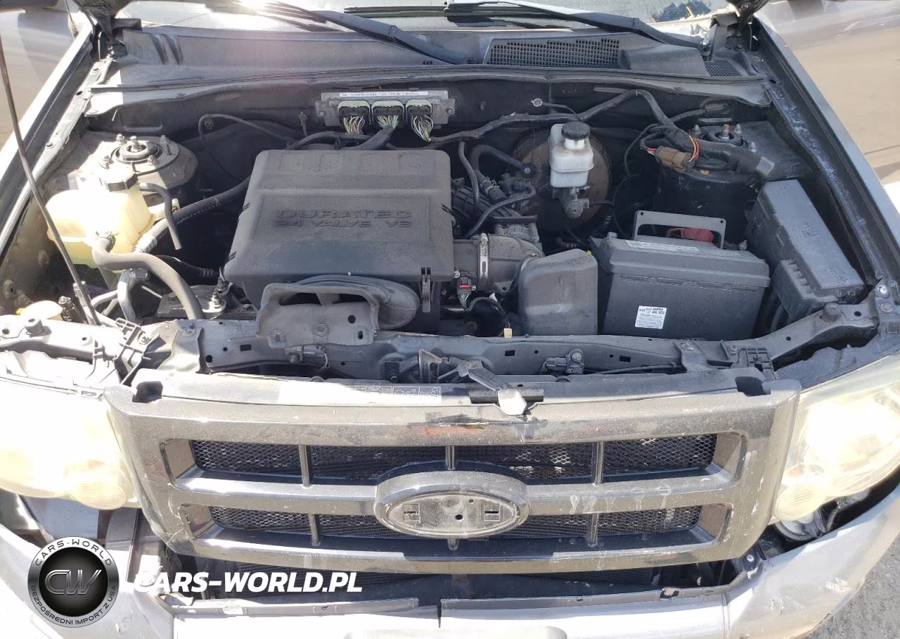 2012 Ford Escape Xlt VIN:1FMCU0DG3CKA71982 - 12