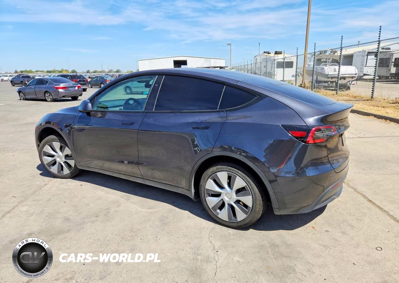2024 Tesla Model Y VIN:7SAYGDED4RF095505 - 2