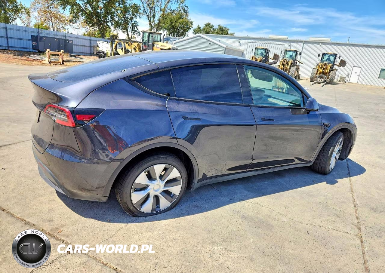 2024 Tesla Model Y VIN:7SAYGDED4RF095505 - 3
