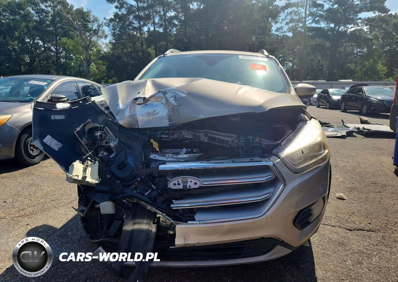 2017 Ford Escape Titanium VIN:1FMCU0JD4HUE64881 - 5