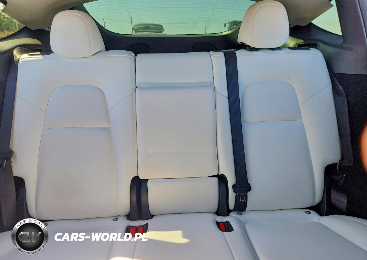 2024 Tesla Model Y VIN:7SAYGDED5RA306465 - 10