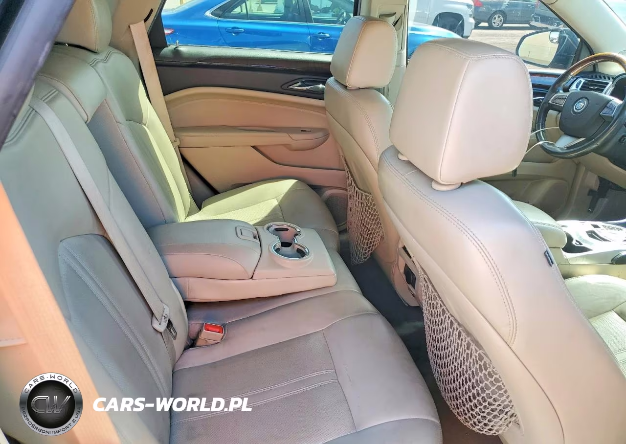 2010 Cadillac Srx Luxury Collection VIN:3GYFNAEY1AS652761 - 11