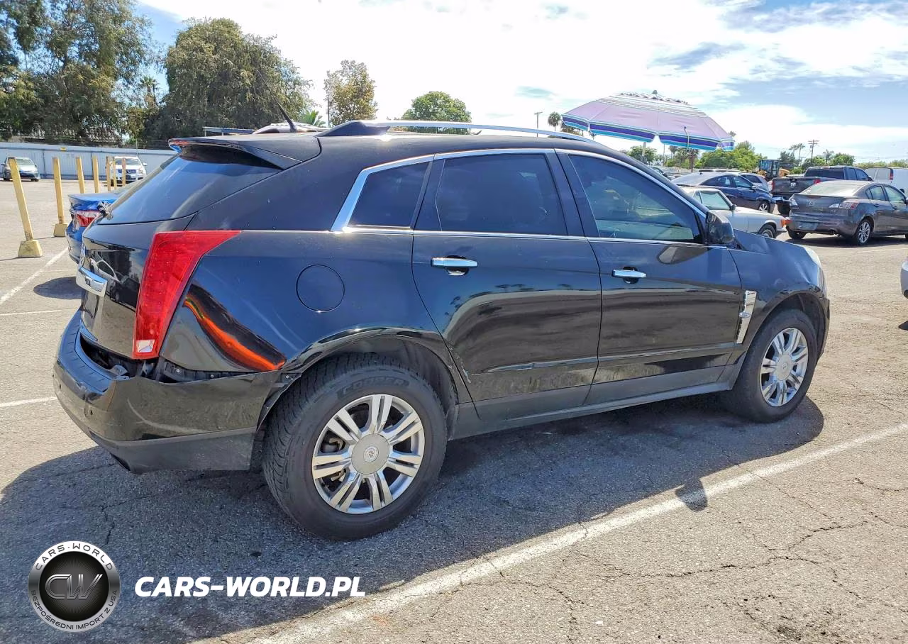 2010 Cadillac Srx Luxury Collection VIN:3GYFNAEY1AS652761 - 3