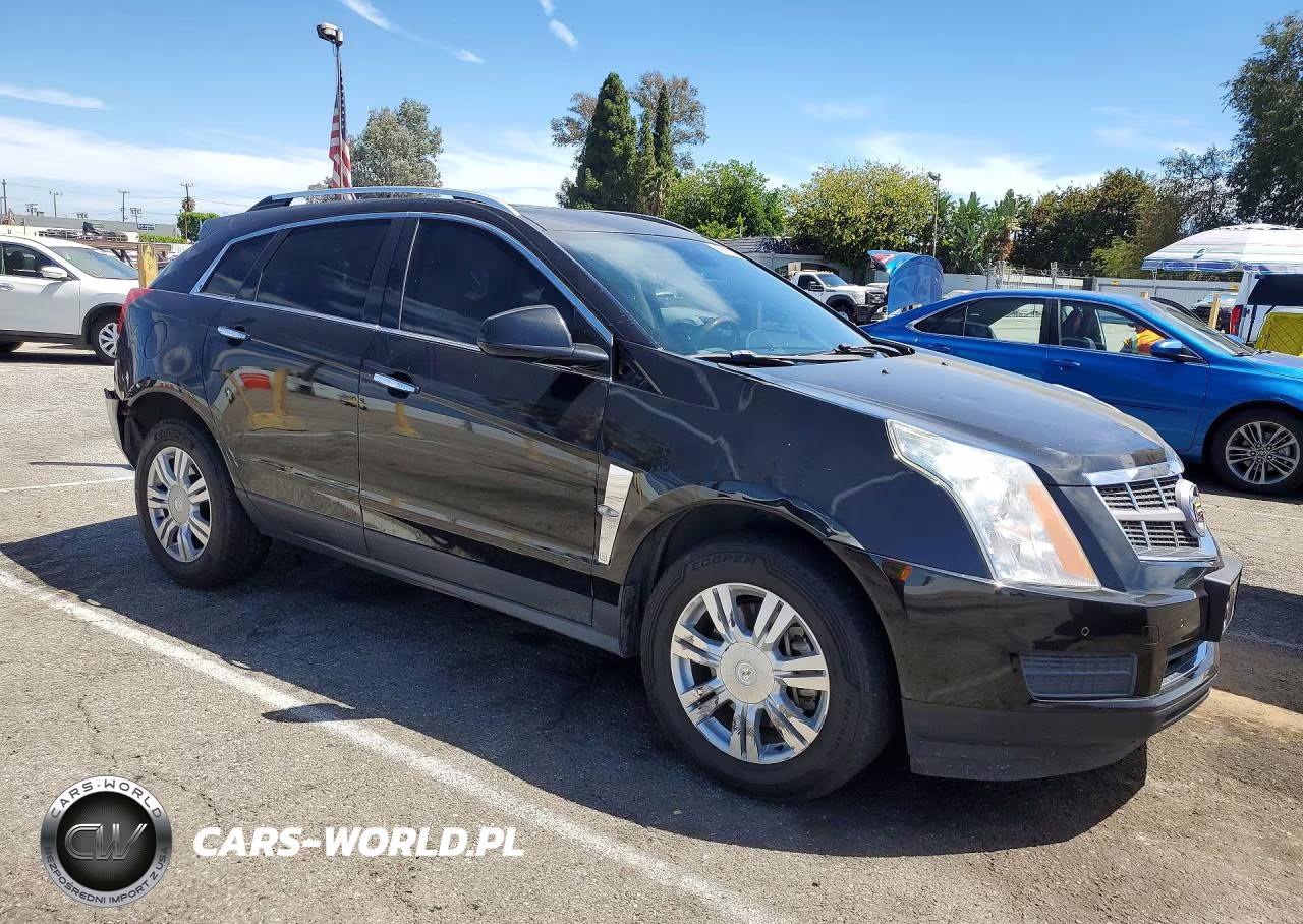 2010 Cadillac Srx Luxury Collection VIN:3GYFNAEY1AS652761 - 4