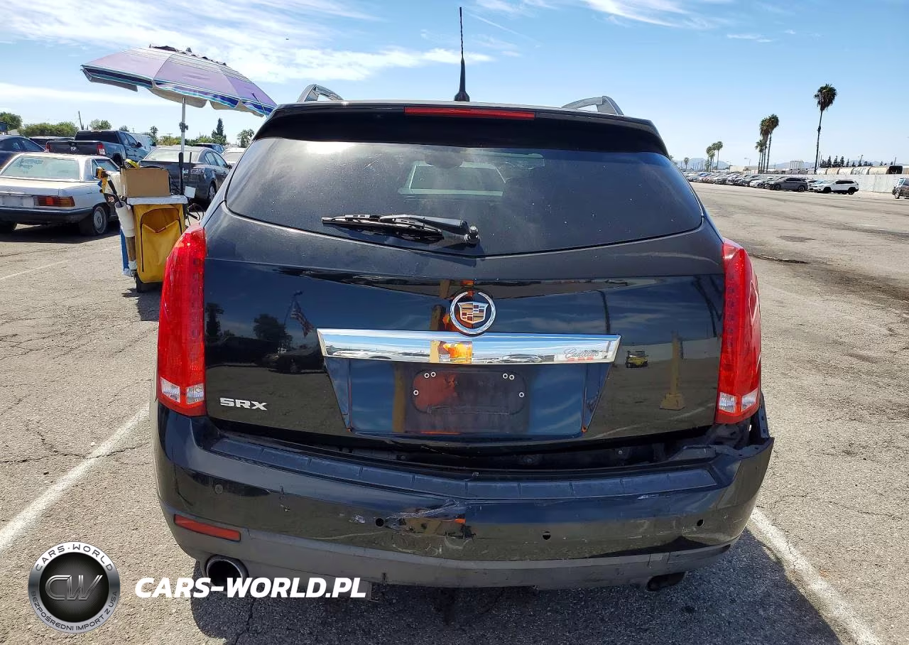 2010 Cadillac Srx Luxury Collection VIN:3GYFNAEY1AS652761 - 6