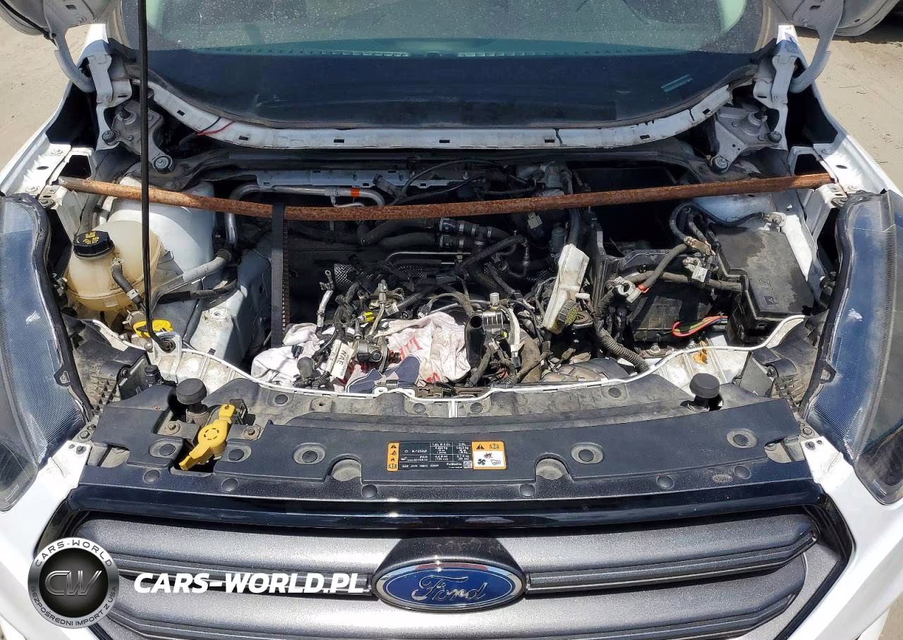 2019 Ford Escape Sel VIN:1FMCU0HD1KUA47621 - 12