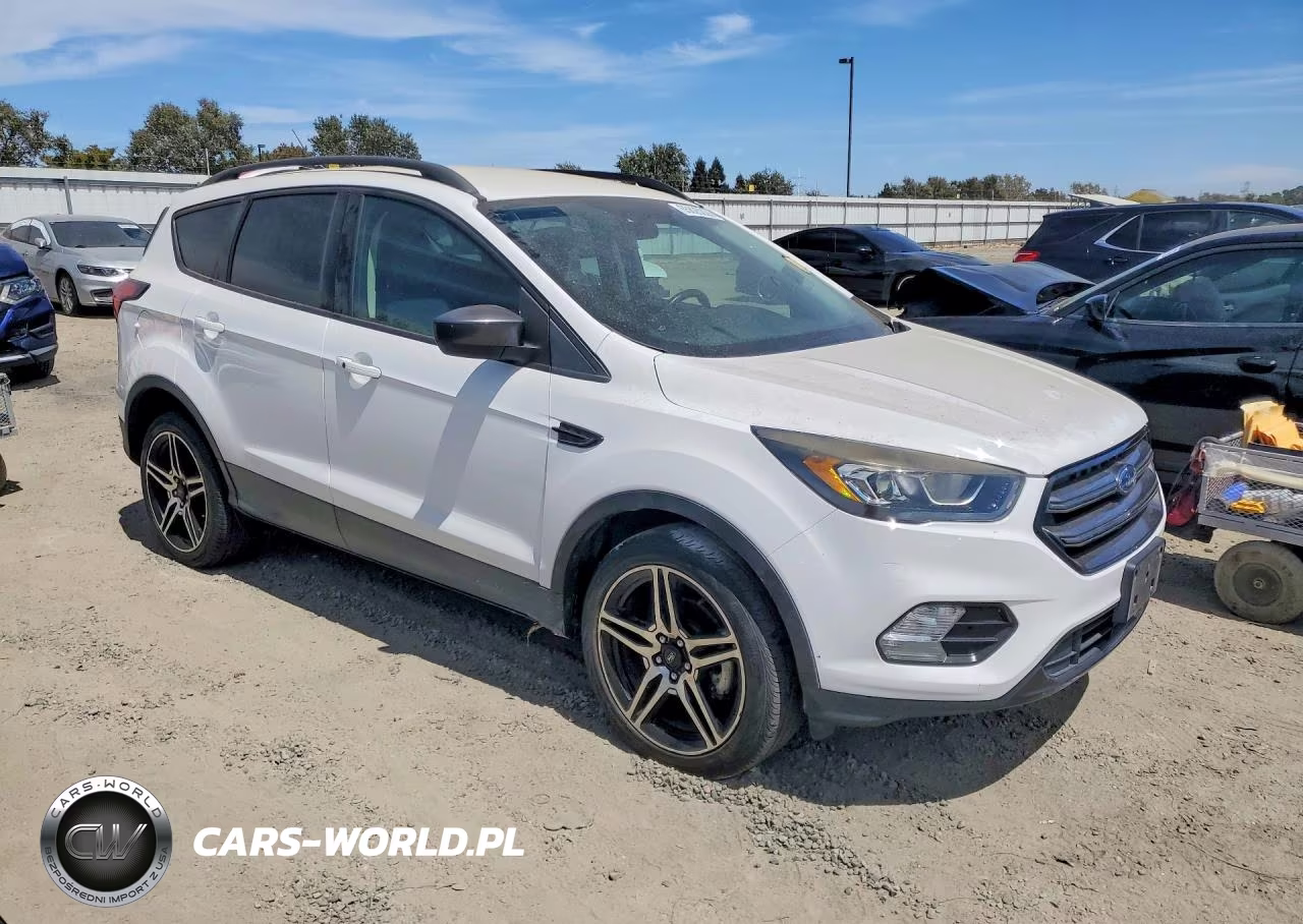 2019 Ford Escape Sel VIN:1FMCU0HD1KUA47621 - 4