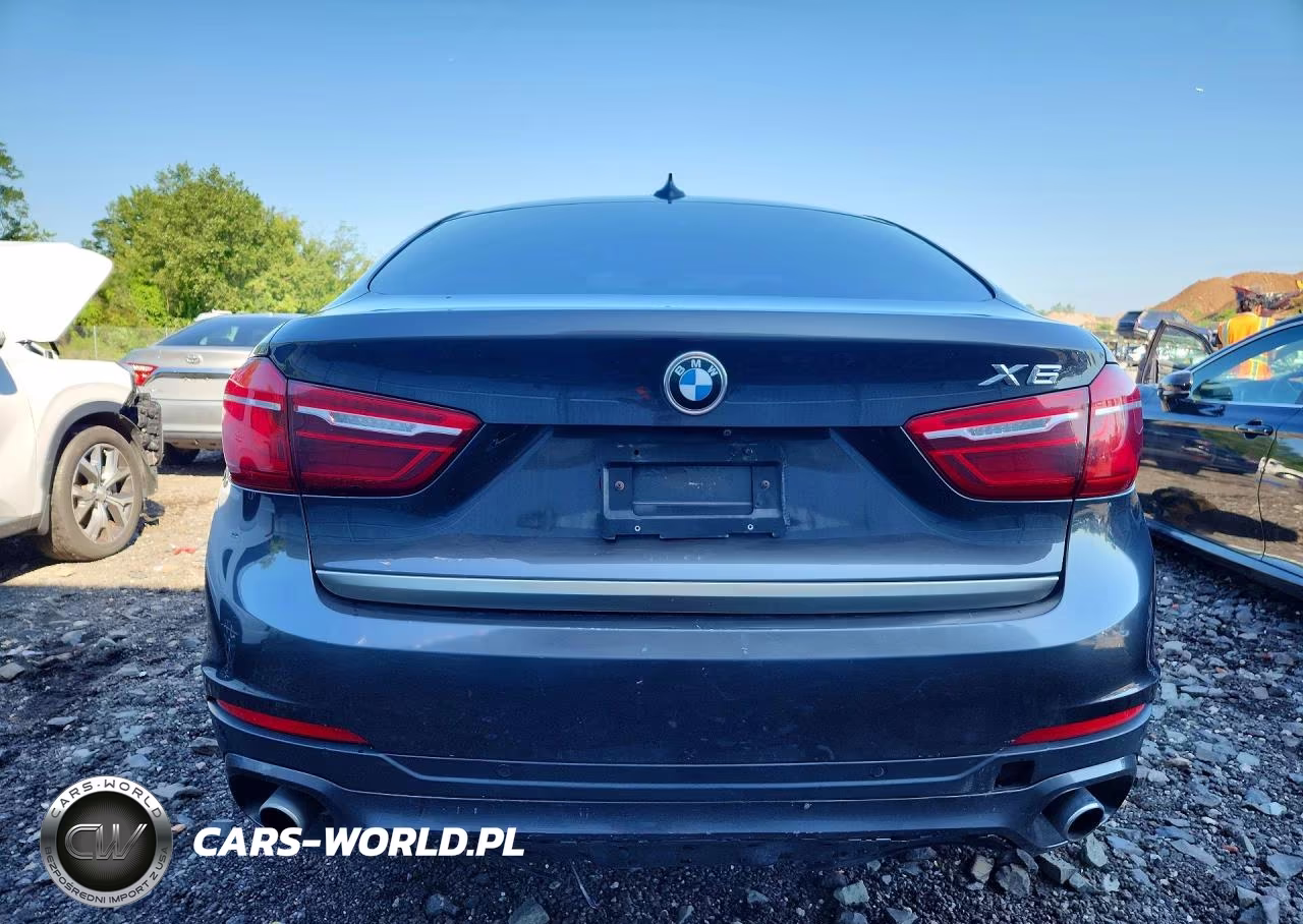2017 BMW X6 xDrive35I VIN:5UXKU2C31H0U30175 - 6