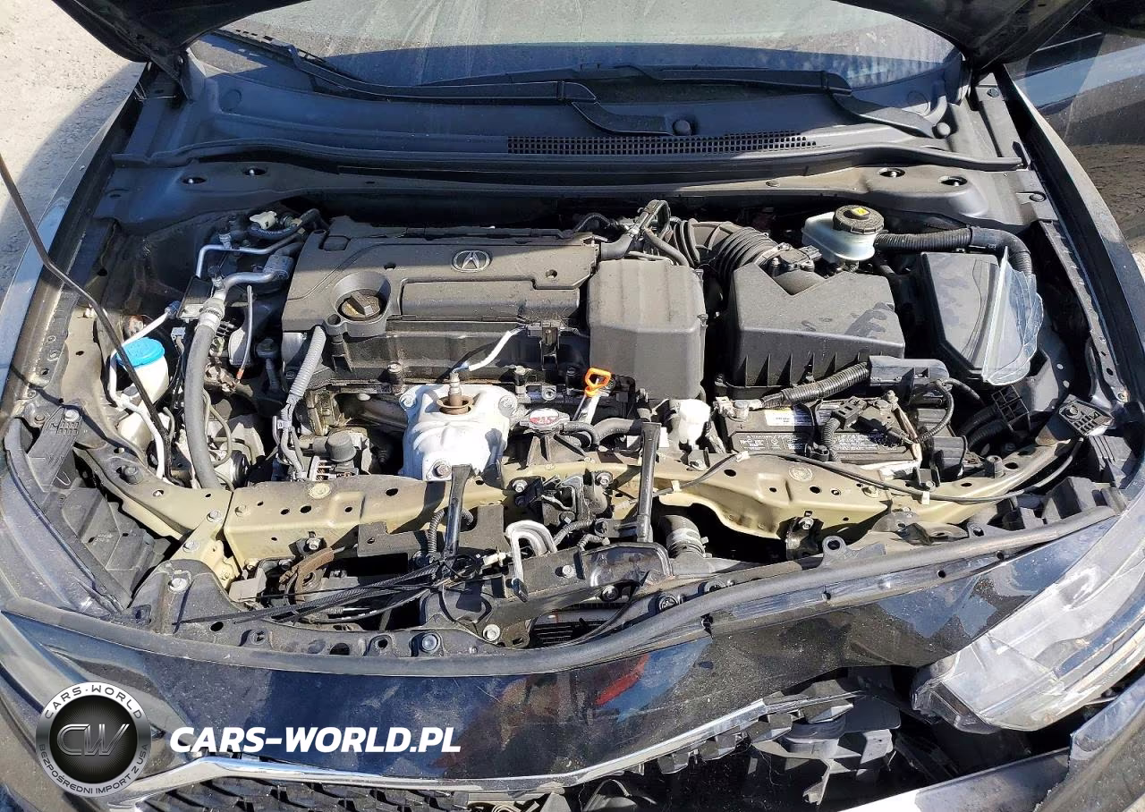 2019 Acura Ilx Premium VIN:19UDE2F77KA003687 - 11
